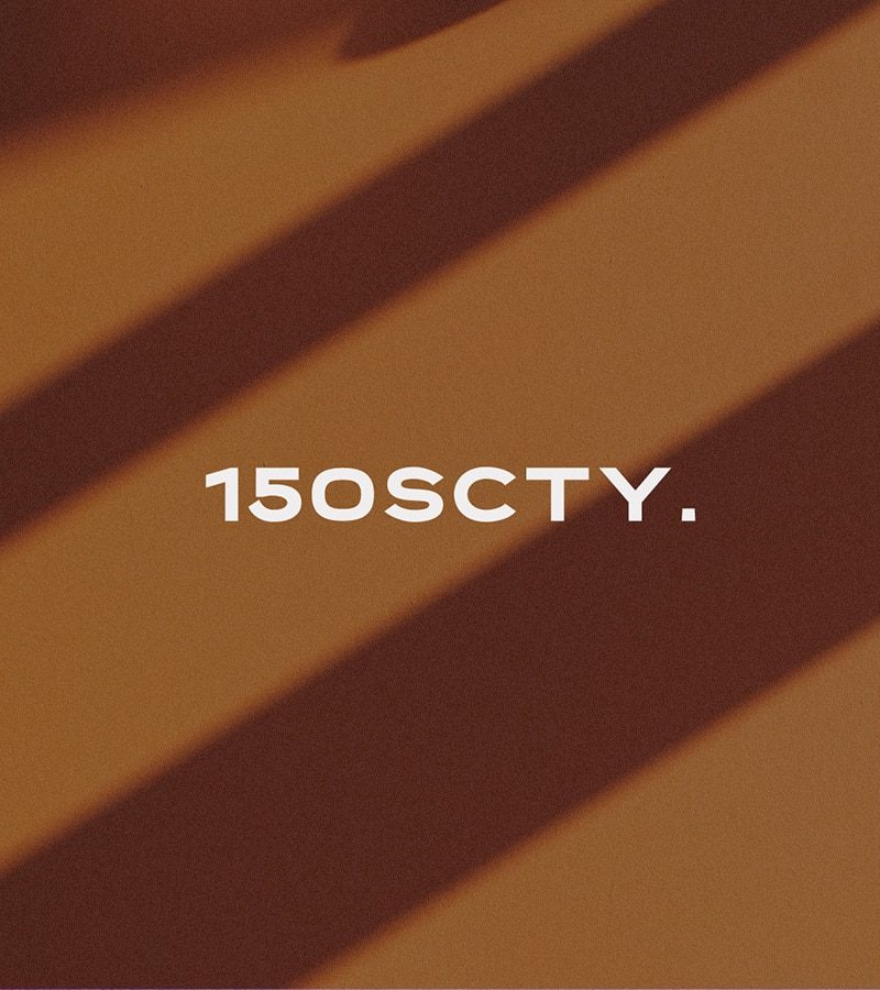 150scty_ds_mockup